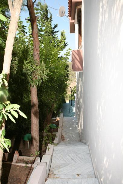 Cosy Villa Pikérmion Εξωτερικό φωτογραφία