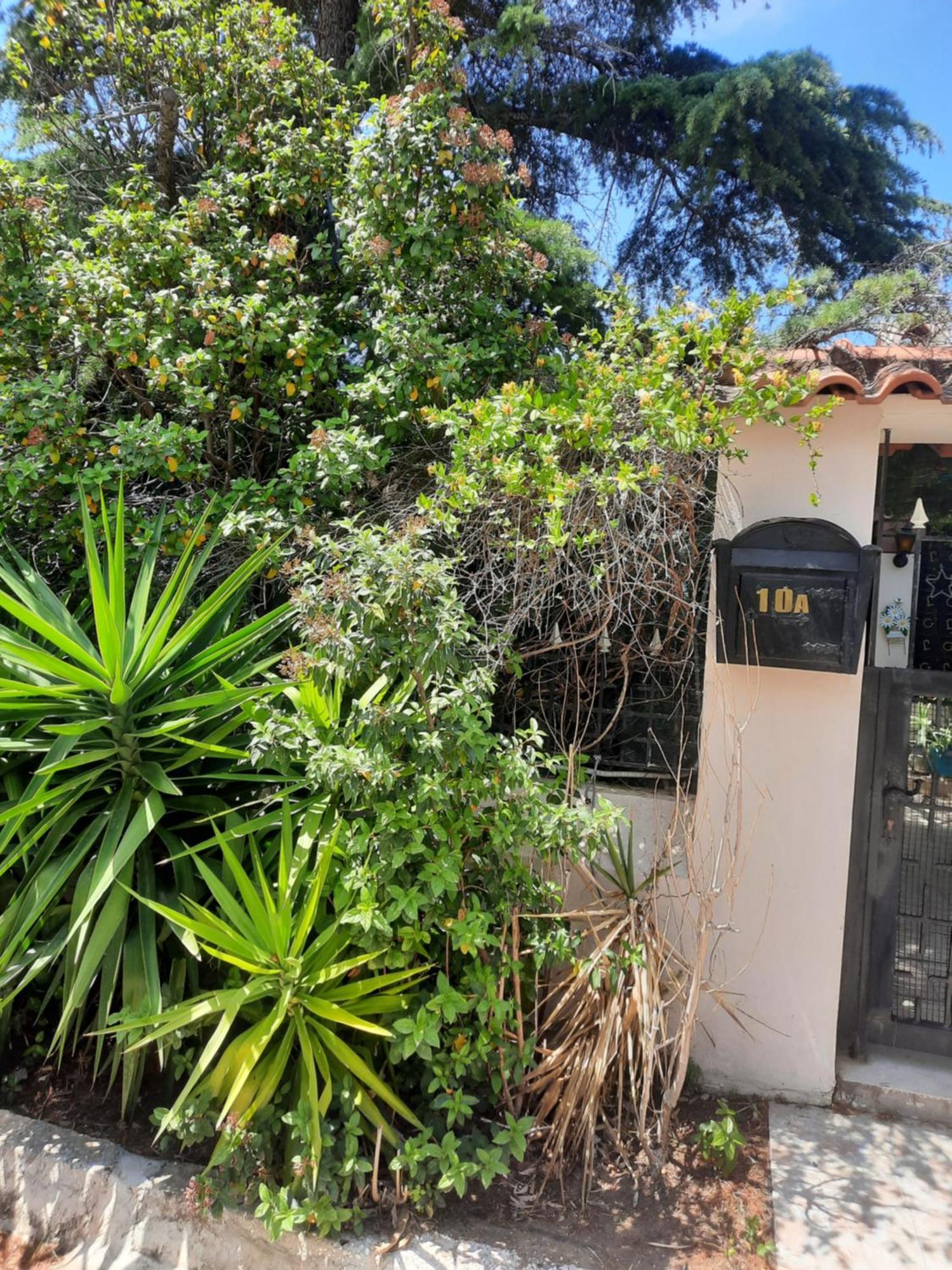 Cosy Villa Pikérmion Εξωτερικό φωτογραφία
